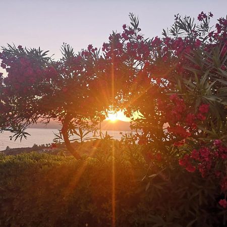 La Casa Sul Tramonto - Capoliveri - Services Included Eksteriør bilde